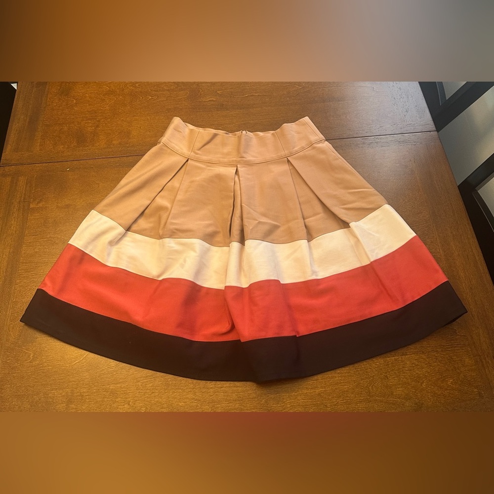 Zara Basic Multicolor A-Line Skirt